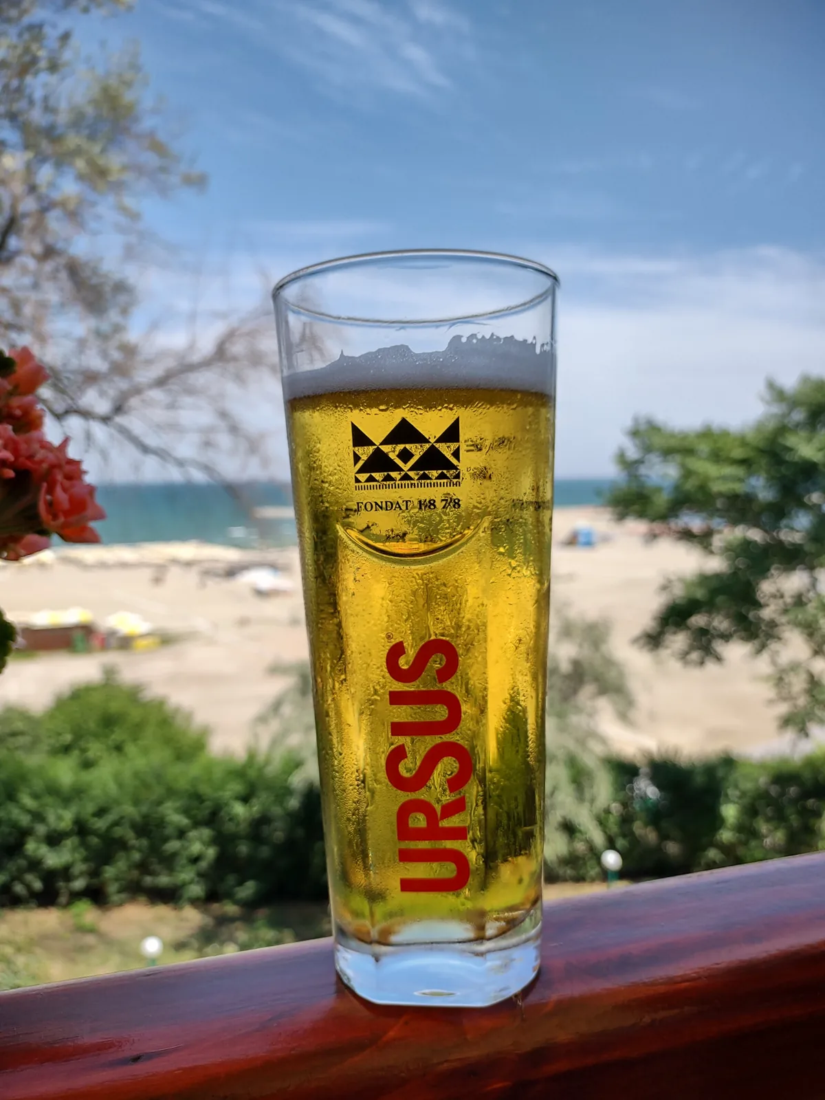 Ursus é uma cerveja Pilsner produzida pela cervejaria homônima, com origem na Europa Central. Esta lager clara e refrescante é conhecida por seu sabor equilibrado, amargor moderado e características típicas do estilo Pilsner, com teor alcoólico de 4.8%. A cerveja é popular em regiões mediterrâneas e é frequentemente apreciada como uma bebida refrescante em ambientes quentes e costeiros. Nota no Untappd: 3.38/5.