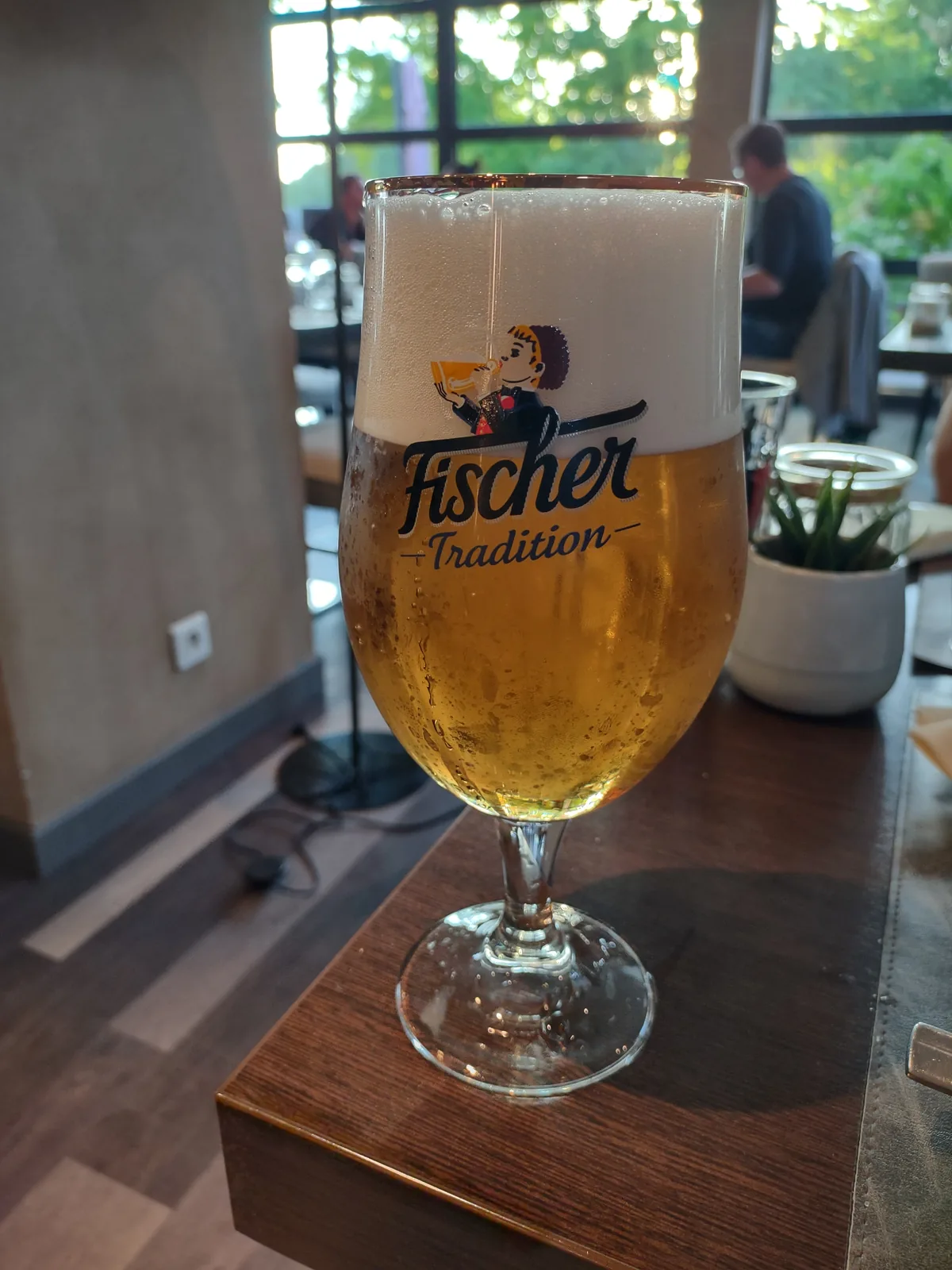 Fischer Tradition é uma cerveja pilsen produzida pela Brasserie Fischer, cervejaria francesa fundada em 1821 localizada em Schiltigheim, na região de Alsácia. Com uma graduação alcoólica de 4,8%, apresenta-se como uma cerveja leve, refrescante e equilibrada, típica do estilo pilsner europeu. A cerveja é conhecida por sua cor dourada clara, aroma floral suave e sabor ligeiramente amargo característico da tradição alsaciana de produção cervejeira. Nota no Untappd: 3.51/5.